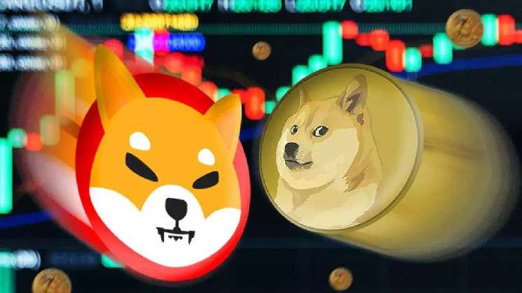 Покупателей криптовалют-мемов наградят биткоинами на Crypto.com