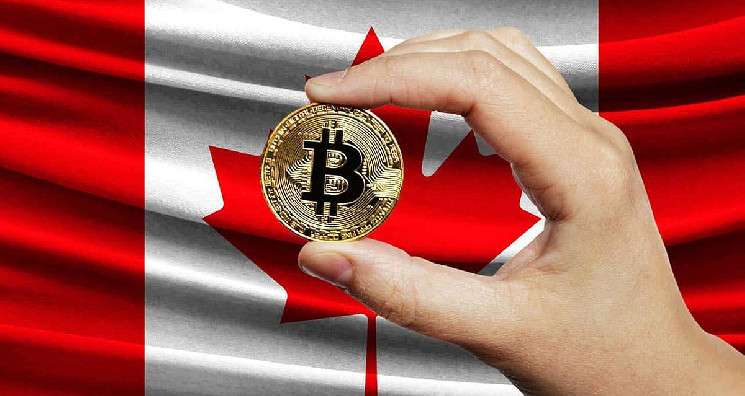 Власти Канады незаконно заморозили криптовалютные пожертвования