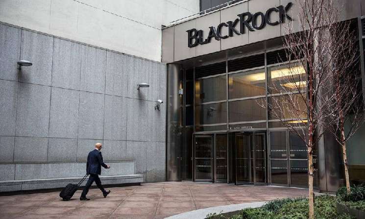 BlackRock может открыть дверь для стейблкоинов, регулируемых США
