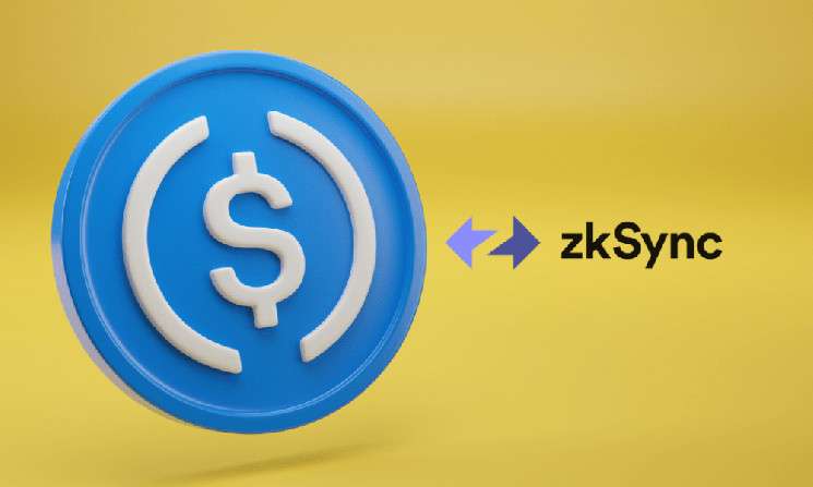 Circle запускает USD Coin на Ethereum zkSync