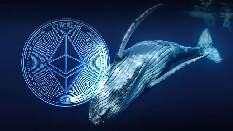 Ethereum подорожает на фоне покупки монет криптовалютными китами